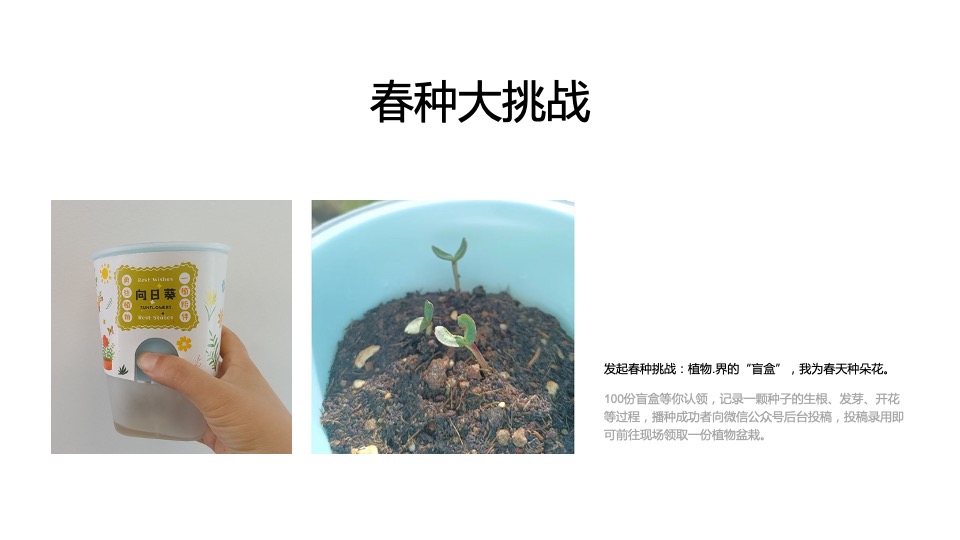 地产项目3月#唤醒春日计划#主题活动策划案