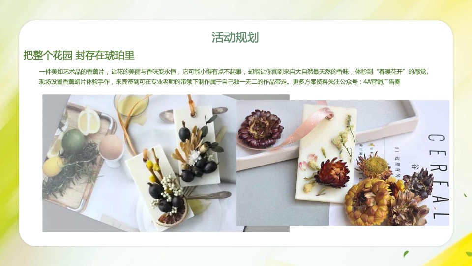 地产项目3月#踏春趣#主题活动策划案