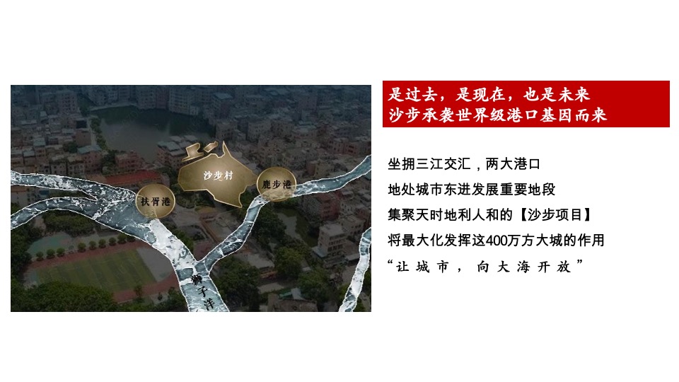 广州万科沙步项目故事线推导策略 #大盘# #海#
