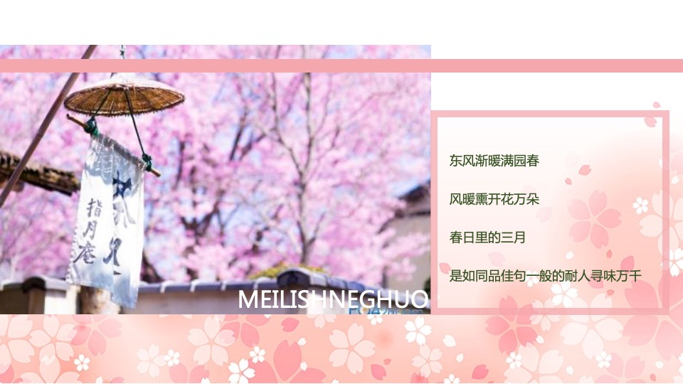 春季大型樱花游园会（不负春光 樱你而来主题）3月-4月活动策划方案