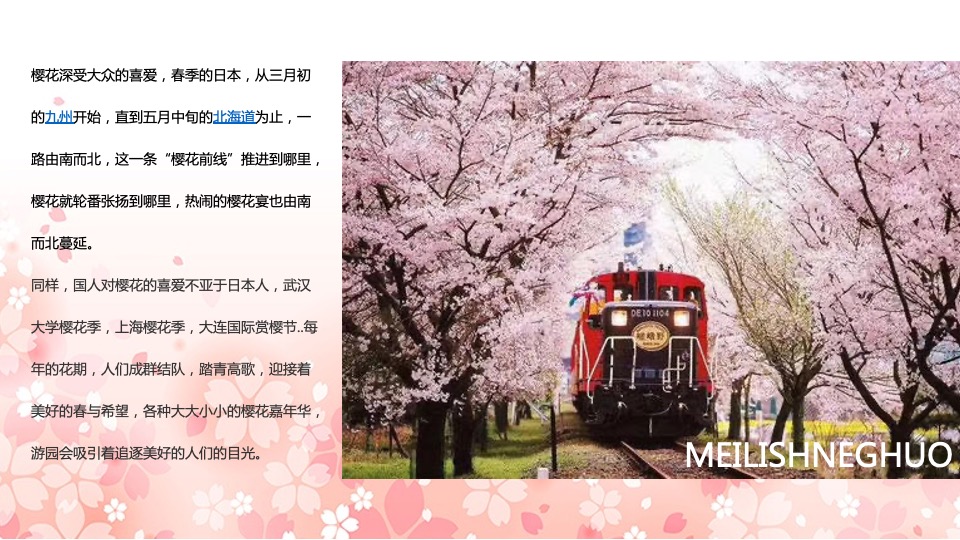 春季大型樱花游园会（不负春光 樱你而来主题）3月-4月活动策划方案