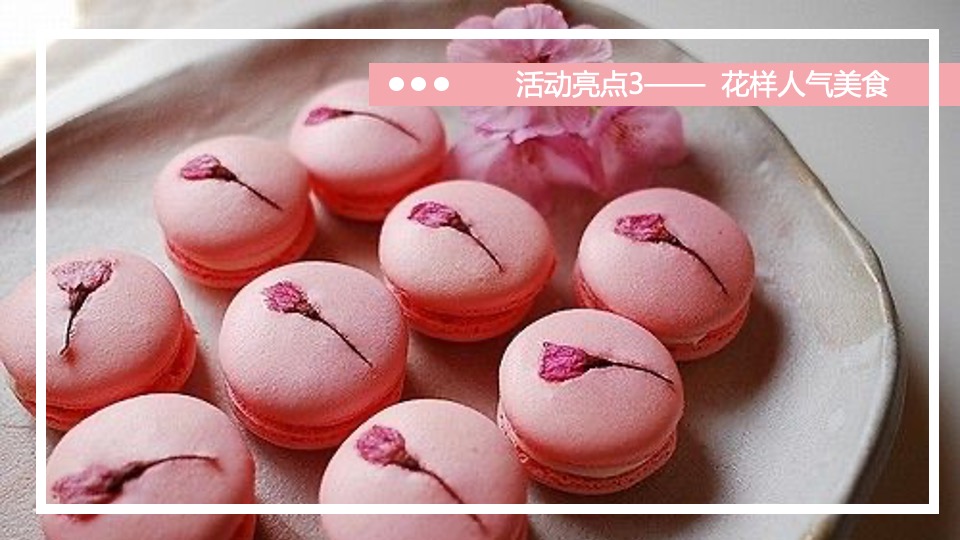 春季大型樱花游园会（不负春光 樱你而来主题）3月-4月活动策划方案