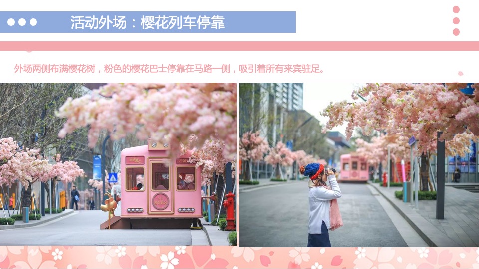 春季大型樱花游园会（不负春光 樱你而来主题）3月-4月活动策划方案