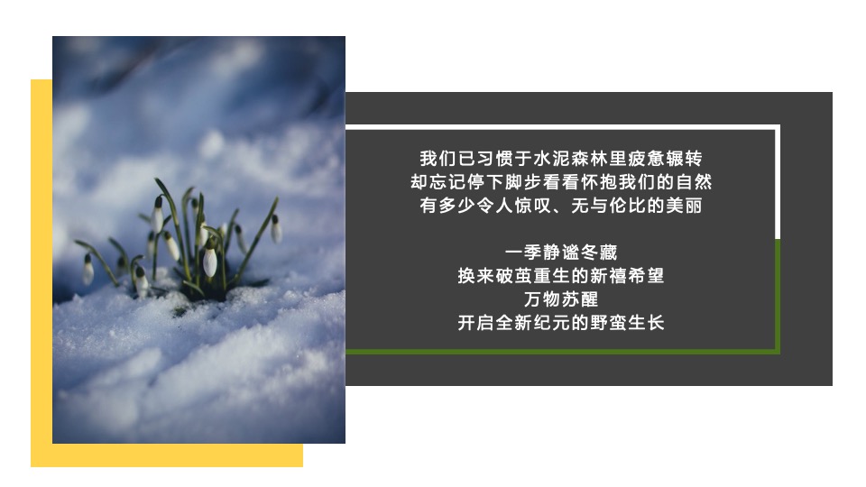 宁波国际购物中心春季美陈方案