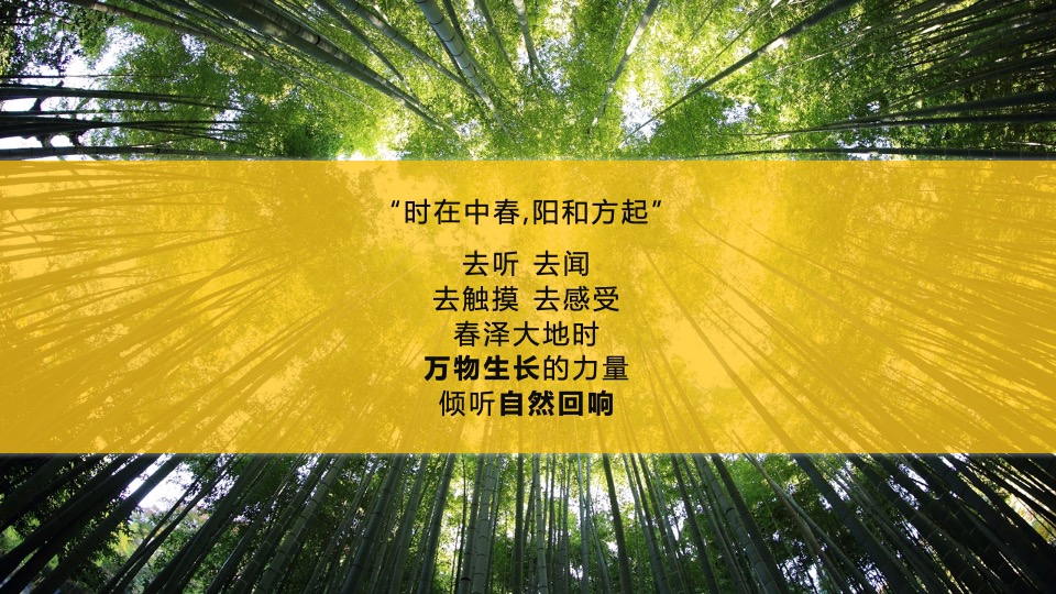 宁波国际购物中心春季美陈方案