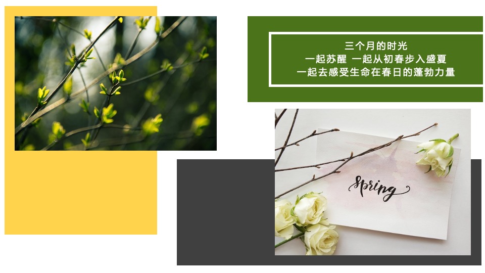 宁波国际购物中心春季美陈方案