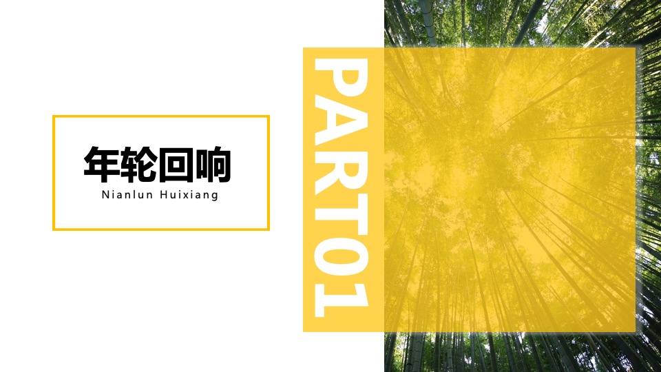 宁波国际购物中心春季美陈方案