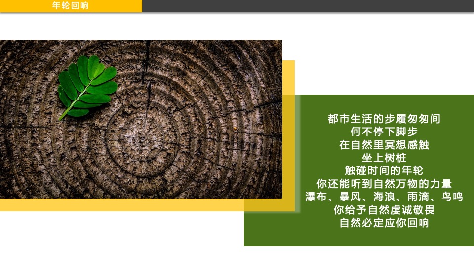 宁波国际购物中心春季美陈方案