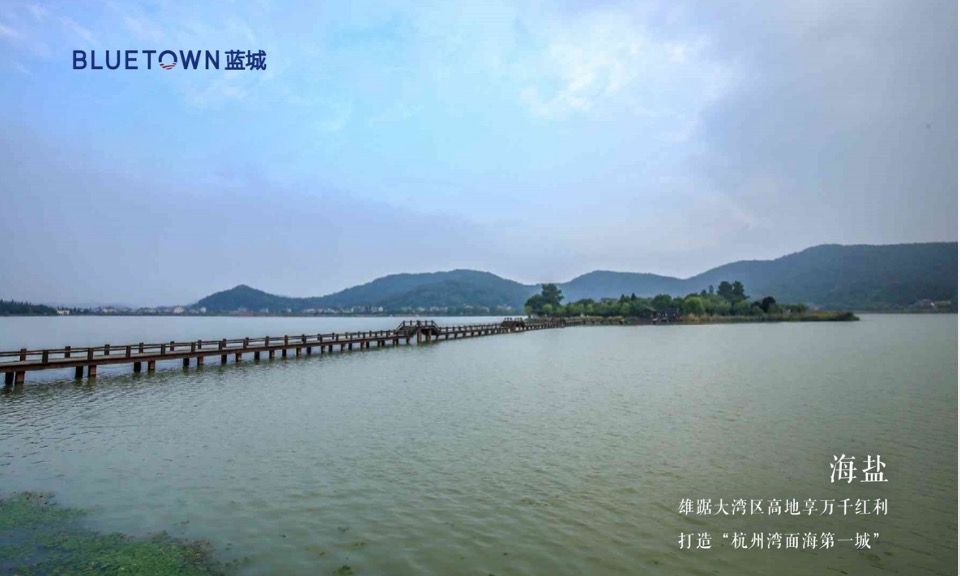 蓝城·南北湖推介PPT #合院# #叠院# #颐养小镇#