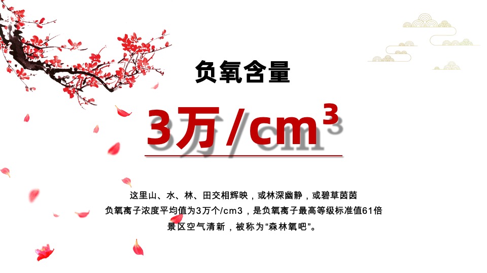 世茂·莲花山小镇客栈推介PPT #文旅# #内部员工#