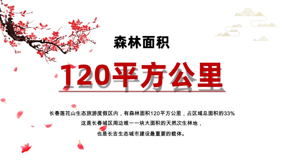 世茂·莲花山小镇客栈推介PPT #文旅# #内部员工#