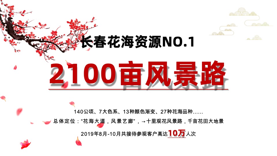 世茂·莲花山小镇客栈推介PPT #文旅# #内部员工#