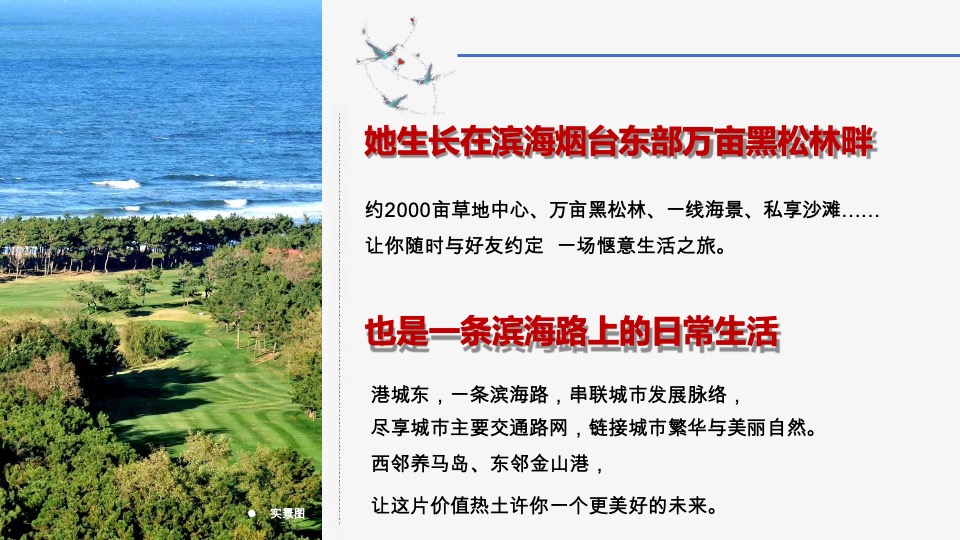 蓝城·桃李春风推介PPT #烟台# #康养#