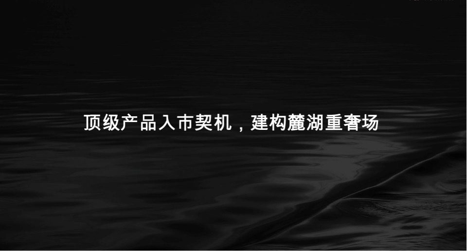 成都麓湖·琥珀台顶级产品系推广创作探索方案#独栋别墅##家族#