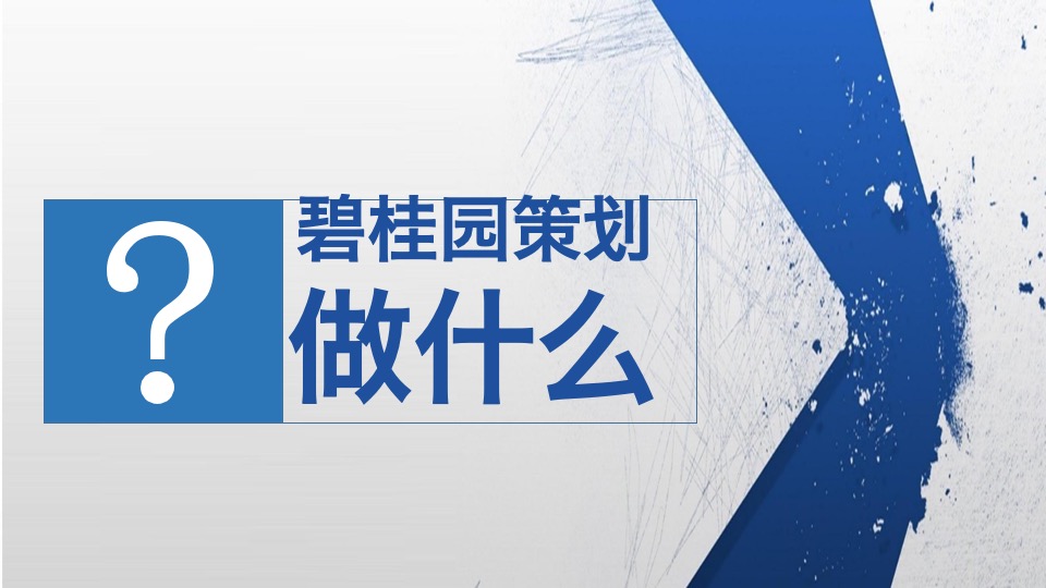 培训碧桂园项目开盘前策划标准动作指引
