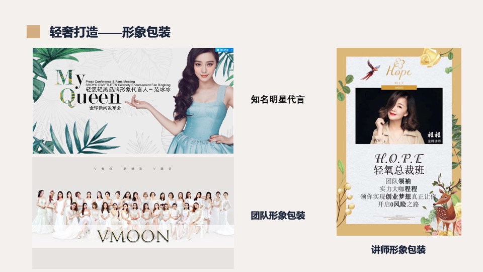 雅钲燕窝品牌营销建议案【大健康 养生保健 电商 种草带货】