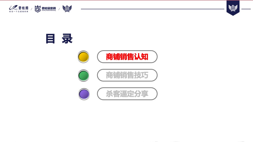【培训资料】碧桂园商铺销售分享