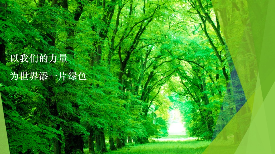 企业植树节团队建设（载种希望 共筑美好主题）活动策划方案