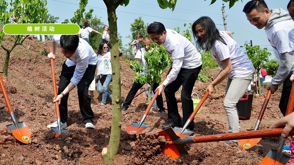 企业植树节团队建设（载种希望 共筑美好主题）活动策划方案