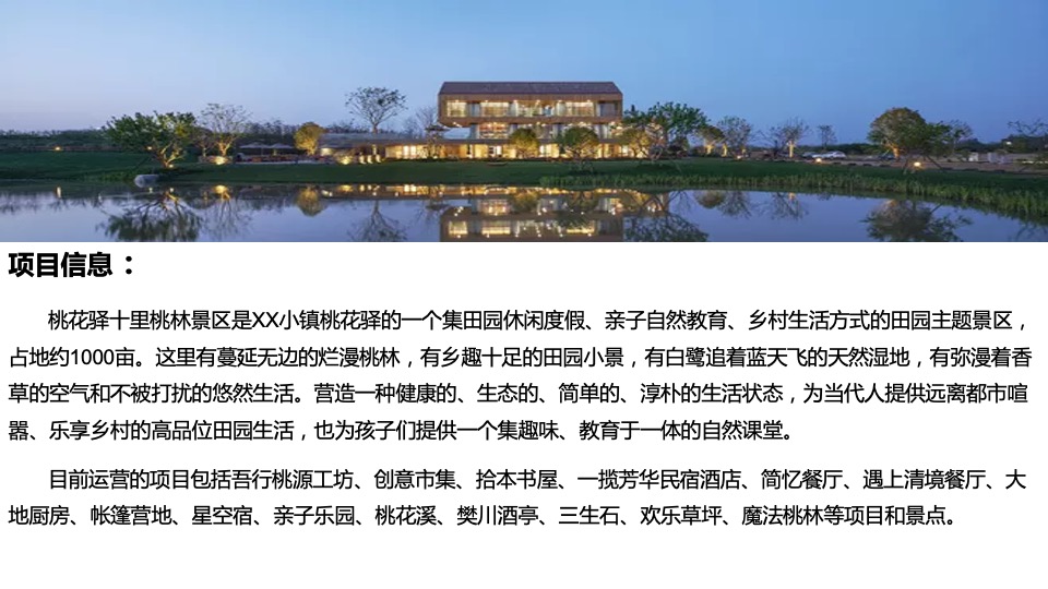 文旅景区第九届桃花文化旅游节主题活动策划方案