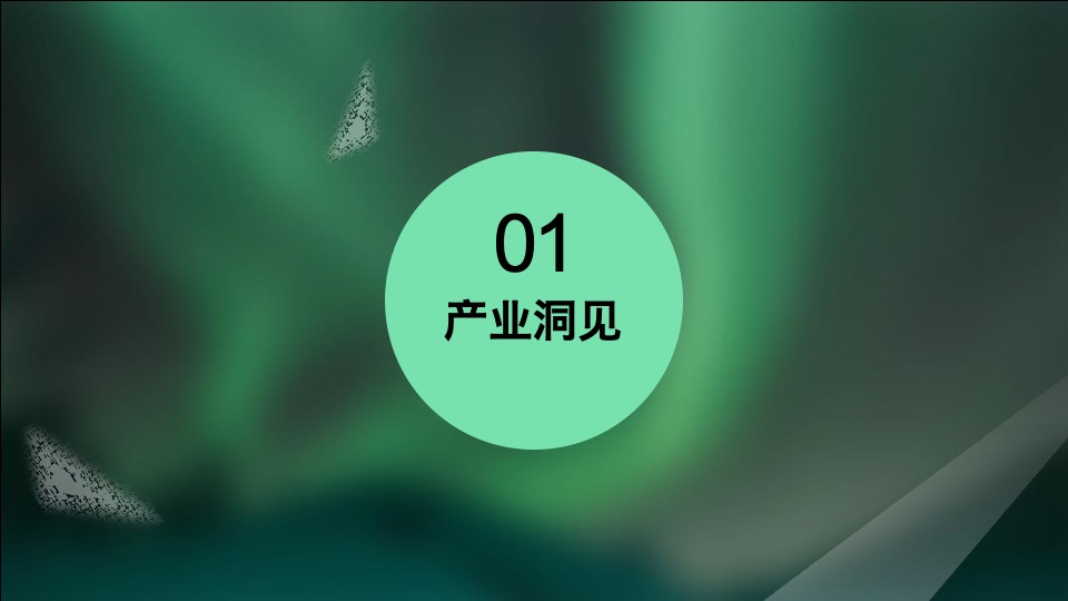 【土林凤凰】茶叶用户品牌规划方案