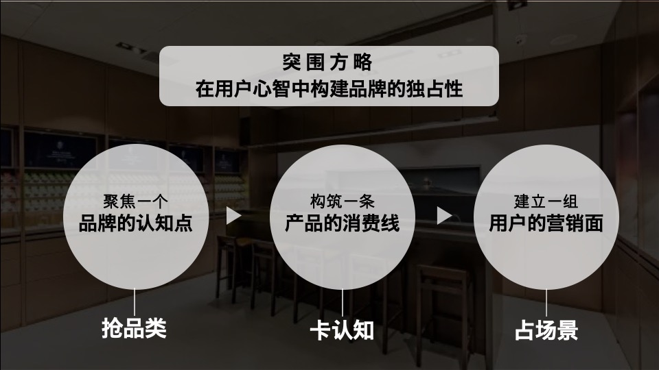 【土林凤凰】茶叶用户品牌规划方案