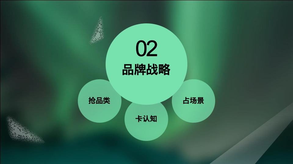 【土林凤凰】茶叶用户品牌规划方案