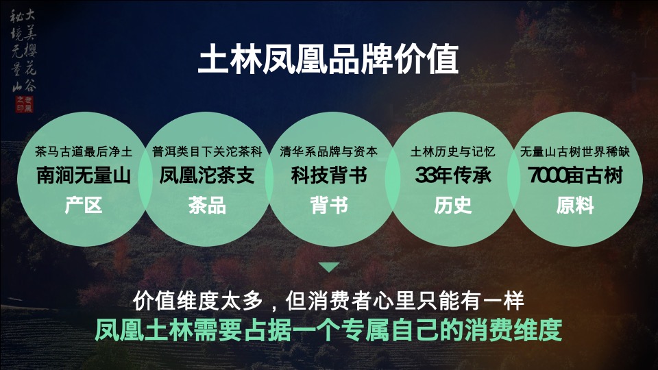 【土林凤凰】茶叶用户品牌规划方案