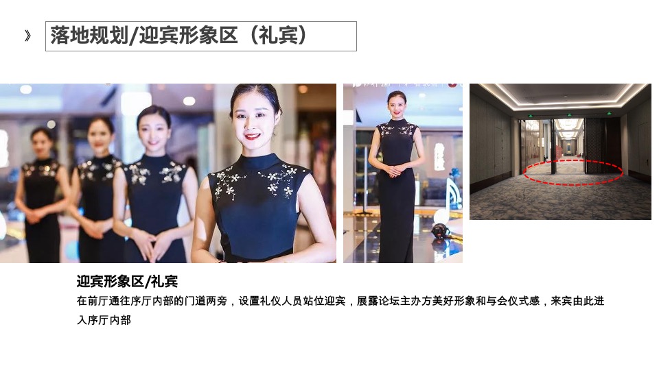 国际畜牧业创新论坛落地策略案