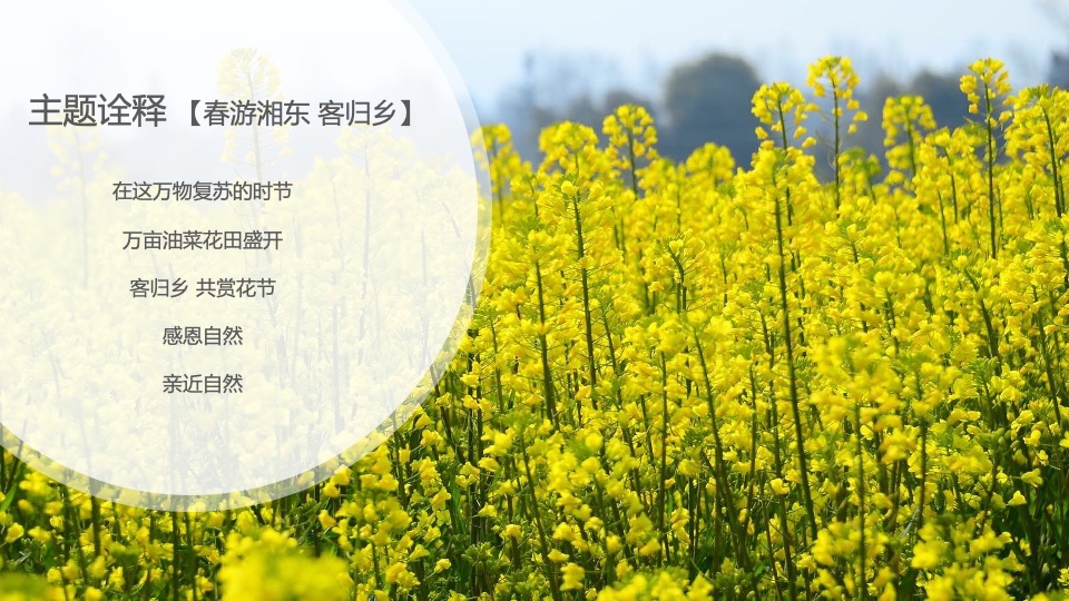 文旅景区旅游消费节暨第十三届油菜花节活动策划方案