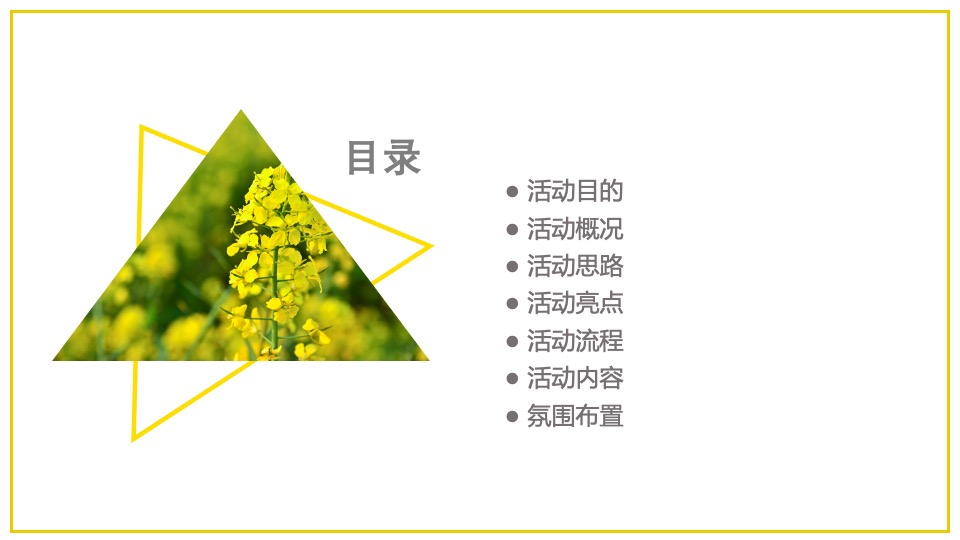 文旅景区旅游消费节暨第十三届油菜花节活动策划方案