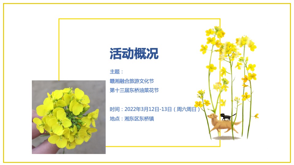 文旅景区旅游消费节暨第十三届油菜花节活动策划方案