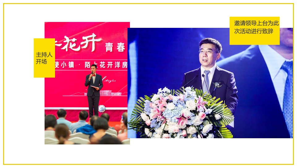 文旅景区旅游消费节暨第十三届油菜花节活动策划方案