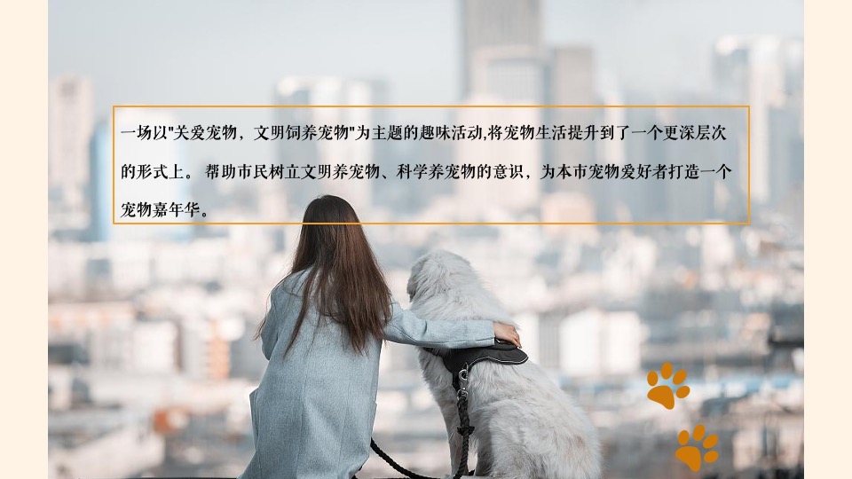 商业广场萌宠嘉年华（疯狂动物城主题）活动策划方案