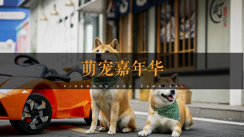 商业广场萌宠嘉年华（疯狂动物城主题）活动策划方案