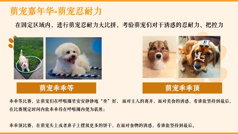 商业广场萌宠嘉年华（疯狂动物城主题）活动策划方案