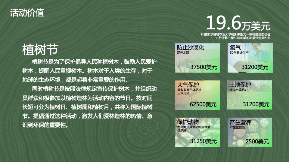 企业3.12植树节（绿化地球·种植希望主题）活动策划方案