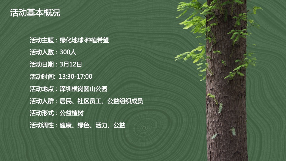 企业3.12植树节（绿化地球·种植希望主题）活动策划方案