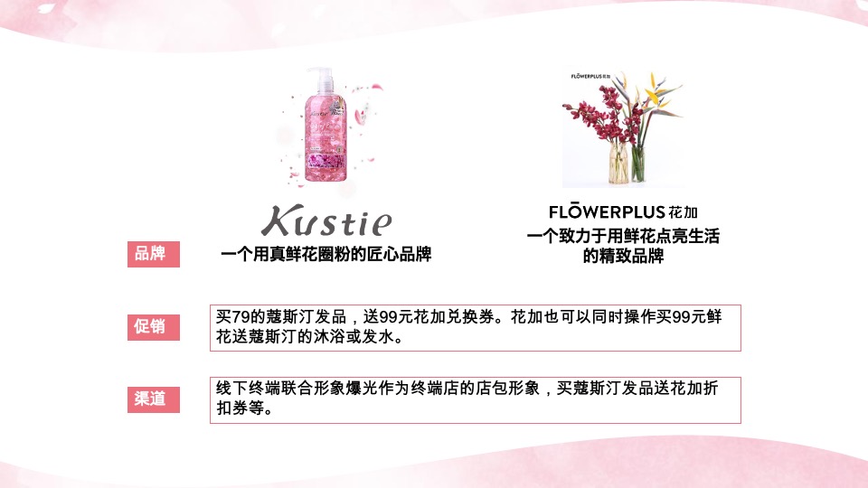 蔻斯汀新品洗发水传播创意方案