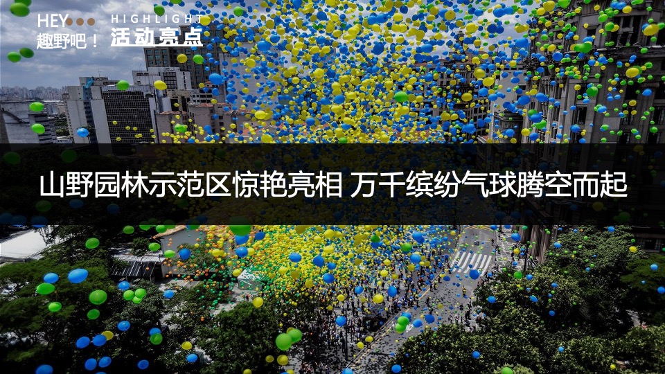 地产项目园林示范区开放暨首届山野音乐风筝节活动策划方案