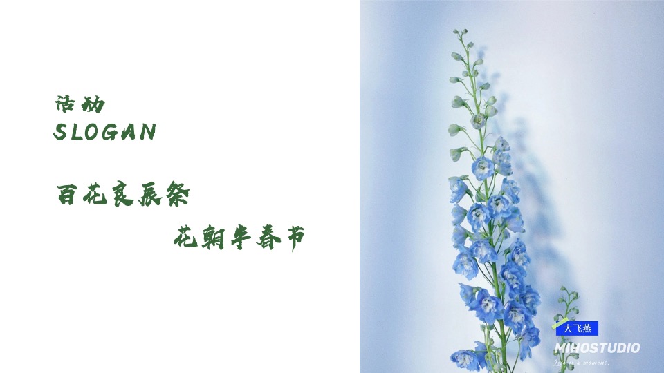 文旅景区首届汉文化主题花朝节活动策划方案