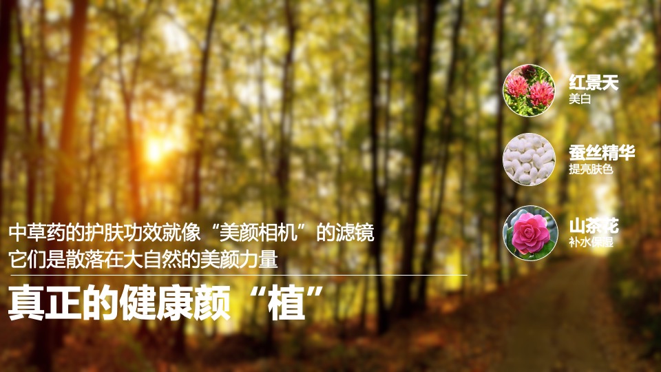 相宜本草1月social传播方案