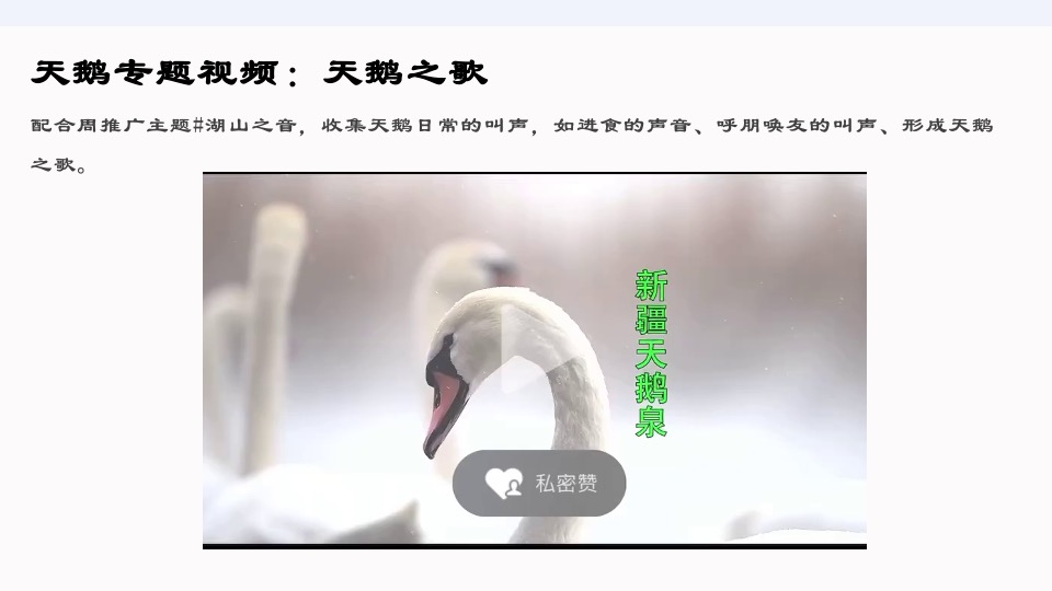 【推广】白云湖4月推广策划案 #山湖# #洋房# #联排#
