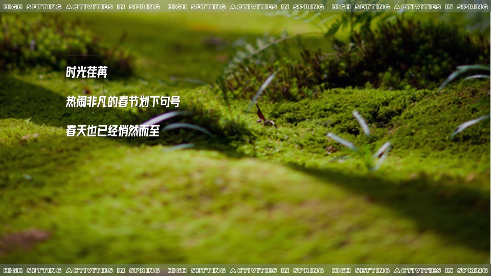 地产项目春季植物手作（万物生长 约绘春天主题）活动策划方案