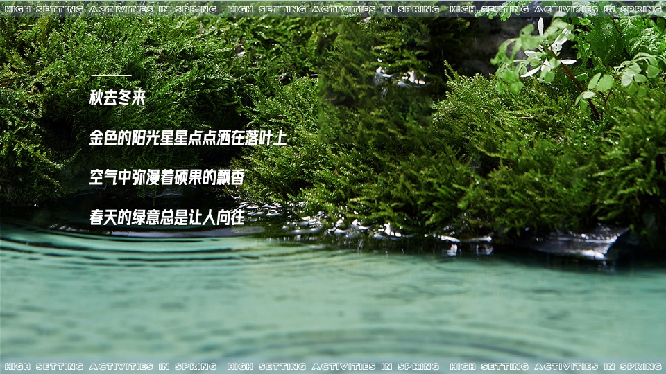 地产项目春季植物手作（万物生长 约绘春天主题）活动策划方案