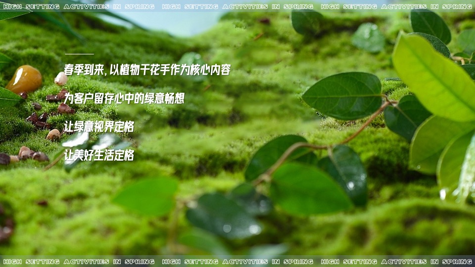地产项目春季植物手作（万物生长 约绘春天主题）活动策划方案