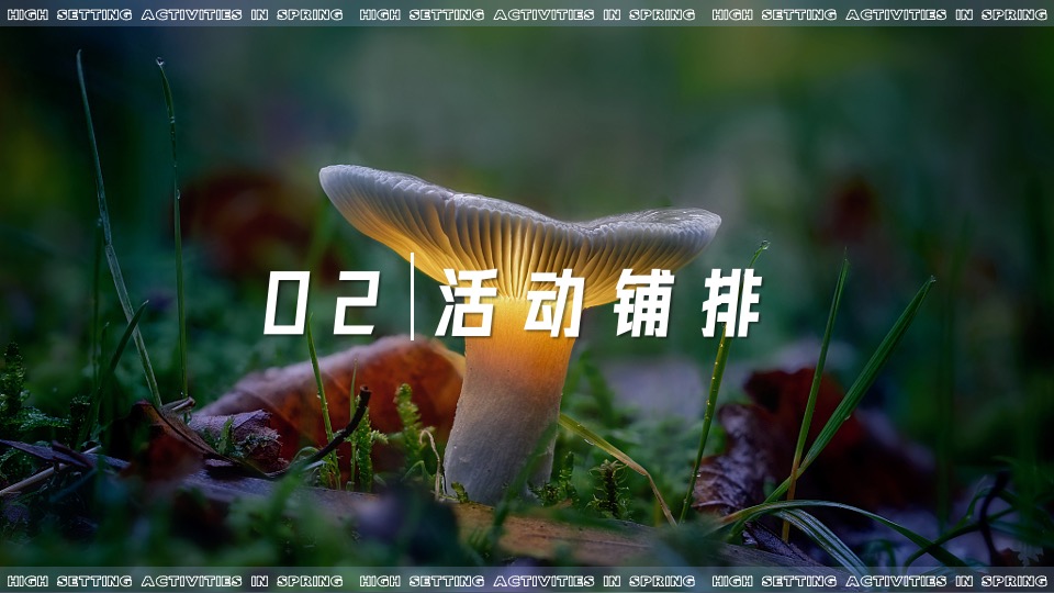地产项目春季植物手作（万物生长 约绘春天主题）活动策划方案
