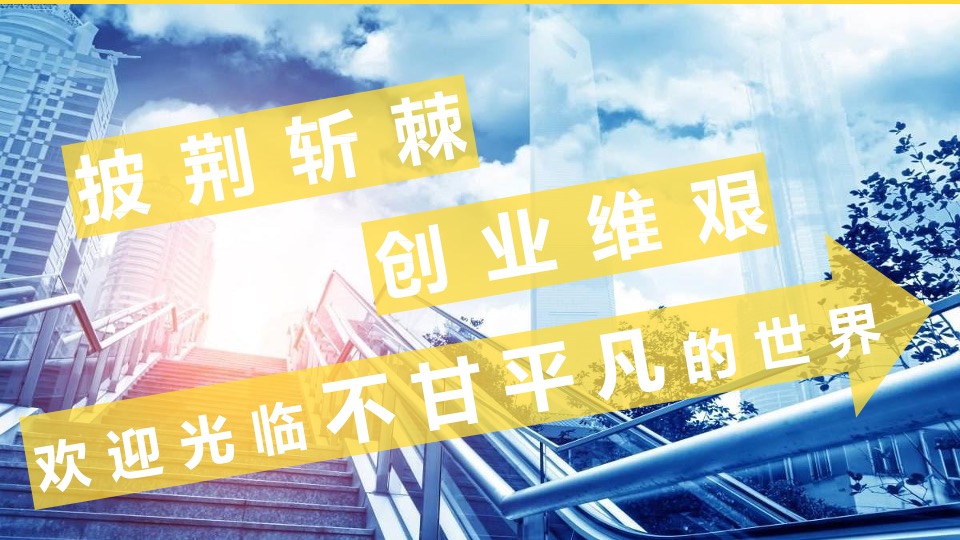 电视剧《何不乘风起》项目书