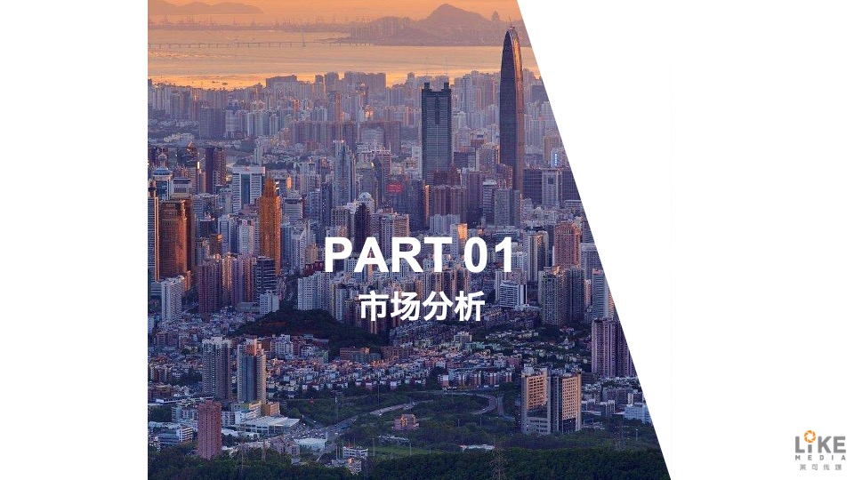 电视剧《何不乘风起》项目书