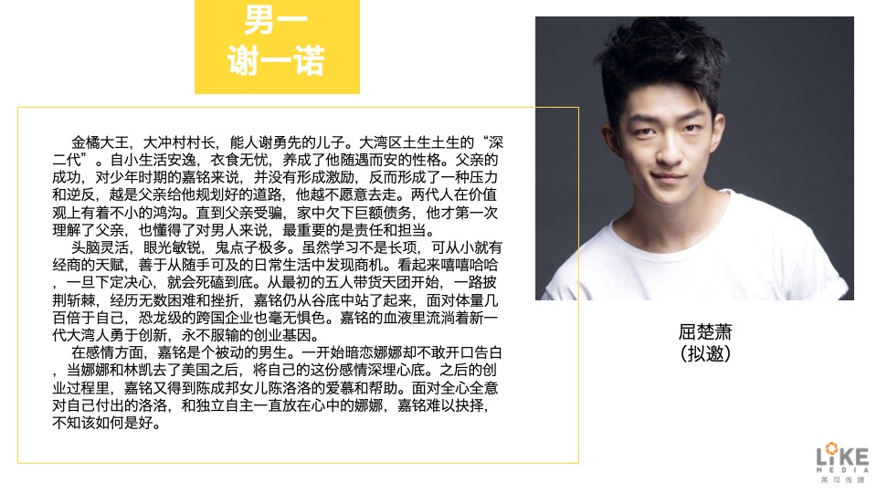 电视剧《何不乘风起》项目书